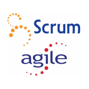 Agile Scrum by practice